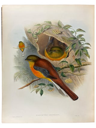 A Monograph of the Trogonidae, or Family of Trogons