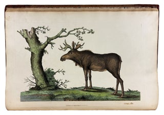Cimelia physica: Figures of rare and curious quadrupeds, birds, &c. Together with Several of the Most Elegant Plants. Engraved and Coloured from the subjects themselves
