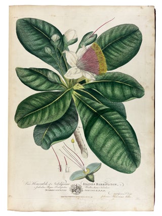 Cimelia physica: Figures of rare and curious quadrupeds, birds, &c. Together with Several of the Most Elegant Plants. Engraved and Coloured from the subjects themselves