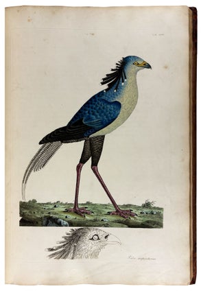 Cimelia physica: Figures of rare and curious quadrupeds, birds, &c. Together with Several of the Most Elegant Plants. Engraved and Coloured from the subjects themselves