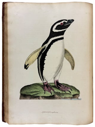 Cimelia physica: Figures of rare and curious quadrupeds, birds, &c. Together with Several of the Most Elegant Plants. Engraved and Coloured from the subjects themselves