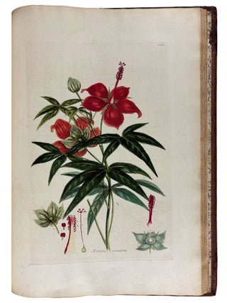 Cimelia physica: Figures of rare and curious quadrupeds, birds, &c. Together with Several of the Most Elegant Plants. Engraved and Coloured from the subjects themselves