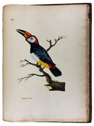 Cimelia physica: Figures of rare and curious quadrupeds, birds, &c. Together with Several of the Most Elegant Plants. Engraved and Coloured from the subjects themselves