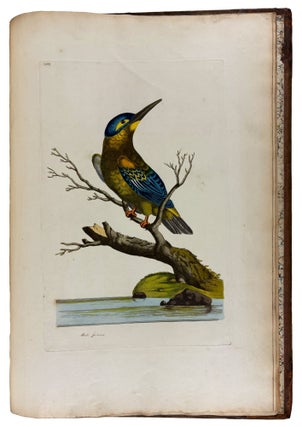 Cimelia physica: Figures of rare and curious quadrupeds, birds, &c. Together with Several of the Most Elegant Plants. Engraved and Coloured from the subjects themselves