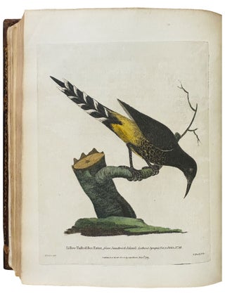 A Voyage Round the World; but More Particularly to the North-West Coast of America: Performed in 1785, 1786, 1787, and 1788, in the King George and Queen Charlotte, Captains Portlock and Dixon
