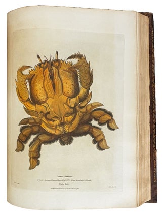 A Voyage Round the World; but More Particularly to the North-West Coast of America: Performed in 1785, 1786, 1787, and 1788, in the King George and Queen Charlotte, Captains Portlock and Dixon