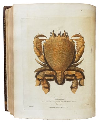 A Voyage Round the World; but More Particularly to the North-West Coast of America: Performed in 1785, 1786, 1787, and 1788, in the King George and Queen Charlotte, Captains Portlock and Dixon