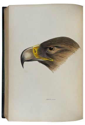 A Synopsis of the Birds of Australia and the Adjacent Islands