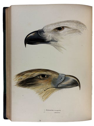 A Synopsis of the Birds of Australia and the Adjacent Islands