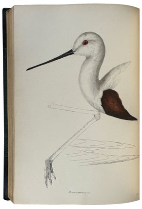 A Synopsis of the Birds of Australia and the Adjacent Islands