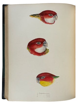 A Synopsis of the Birds of Australia and the Adjacent Islands