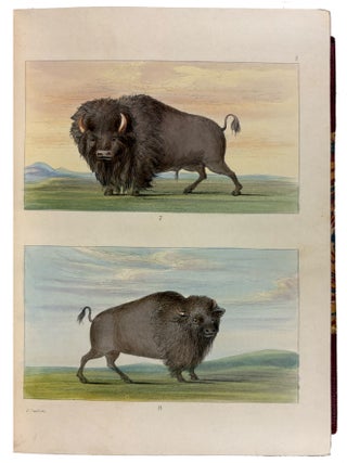 Illustrations of the manners, customs and condition of the North American Indians: with letters and notes written during eight years of travel and adventure among the wildest and most remarkable tribes now existing