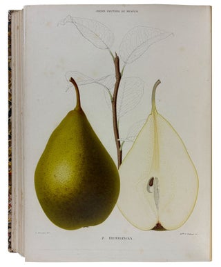 Le Jardin Fruitier du Muséum, ou Iconographie de Toutes les Espèces et Variétés d'Arbres Fruitiers Cultivés dans cet Établissement avec leur description, leur histoire, leur synonymie