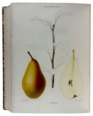 Le Jardin Fruitier du Muséum, ou Iconographie de Toutes les Espèces et Variétés d'Arbres Fruitiers Cultivés dans cet Établissement avec leur description, leur histoire, leur synonymie