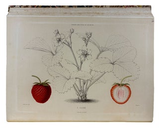 Le Jardin Fruitier du Muséum, ou Iconographie de Toutes les Espèces et Variétés d'Arbres Fruitiers Cultivés dans cet Établissement avec leur description, leur histoire, leur synonymie