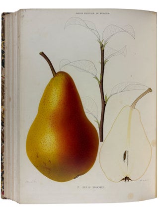 Le Jardin Fruitier du Mus&eacute;um, ou Iconographie de Toutes les Esp&egrave;ces et Vari&eacute;t&eacute;s d'Arbres Fruitiers Cultiv&eacute;s dans cet &Eacute;tablissement avec leur description, leur histoire, leur synonymie