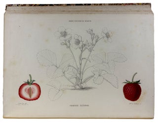 Le Jardin Fruitier du Muséum, ou Iconographie de Toutes les Espèces et Variétés d'Arbres Fruitiers Cultivés dans cet Établissement avec leur description, leur histoire, leur synonymie