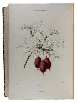 Le Jardin Fruitier du Mus&eacute;um, ou Iconographie de Toutes les Esp&egrave;ces et Vari&eacute;t&eacute;s d'Arbres Fruitiers Cultiv&eacute;s dans cet &Eacute;tablissement avec leur description, leur histoire, leur synonymie