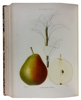 Le Jardin Fruitier du Muséum, ou Iconographie de Toutes les Espèces et Variétés d'Arbres Fruitiers Cultivés dans cet Établissement avec leur description, leur histoire, leur synonymie