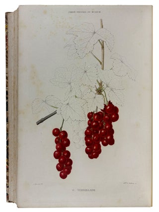 Le Jardin Fruitier du Mus&eacute;um, ou Iconographie de Toutes les Esp&egrave;ces et Vari&eacute;t&eacute;s d'Arbres Fruitiers Cultiv&eacute;s dans cet &Eacute;tablissement avec leur description, leur histoire, leur synonymie