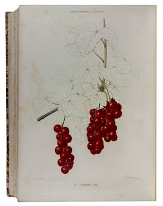 Le Jardin Fruitier du Muséum, ou Iconographie de Toutes les Espèces et Variétés d'Arbres Fruitiers Cultivés dans cet Établissement avec leur description, leur histoire, leur synonymie