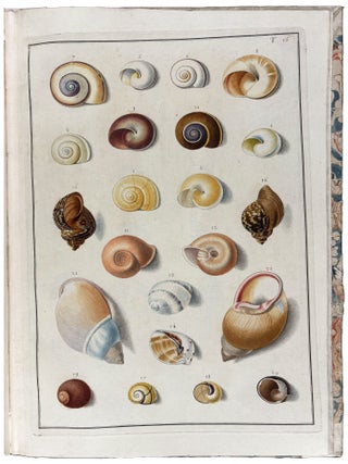 Item #42122 Testacea Musei Caesarei Vindobonensis, quae jussu Mariae Theresiae Augustae disposuit...