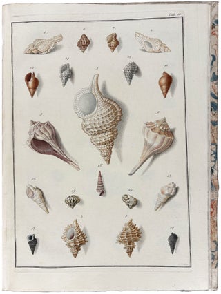 Testacea Musei Caesarei Vindobonensis, quae jussu Mariae Theresiae Augustae disposuit et descripsit Ignatius a Born