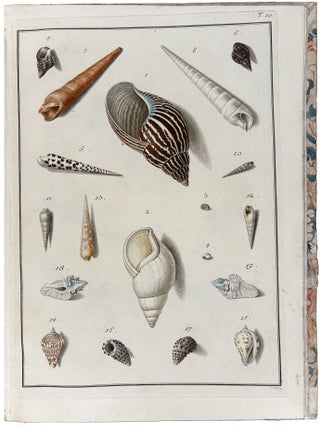 Testacea Musei Caesarei Vindobonensis, quae jussu Mariae Theresiae Augustae disposuit et descripsit Ignatius a Born