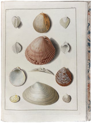 Testacea Musei Caesarei Vindobonensis, quae jussu Mariae Theresiae Augustae disposuit et descripsit Ignatius a Born