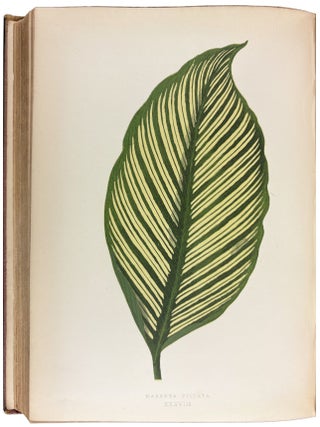 Beautiful Leaved Plants; being a description of the most beautiful leaved plants in cultivation in this country; to which is added an extended catalogue. With sixty coloured illustrations.
