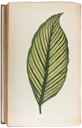 Beautiful Leaved Plants; being a description of the most beautiful leaved plants in cultivation in this country; to which is added an extended catalogue. With sixty coloured illustrations.