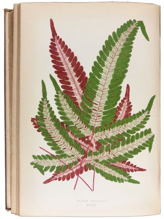 Beautiful Leaved Plants; being a description of the most beautiful leaved plants in cultivation in this country; to which is added an extended catalogue. With sixty coloured illustrations.
