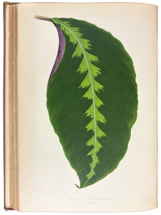 Beautiful Leaved Plants; being a description of the most beautiful leaved plants in cultivation in this country; to which is added an extended catalogue. With sixty coloured illustrations.