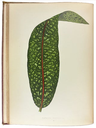 Beautiful Leaved Plants; being a description of the most beautiful leaved plants in cultivation in this country; to which is added an extended catalogue. With sixty coloured illustrations.