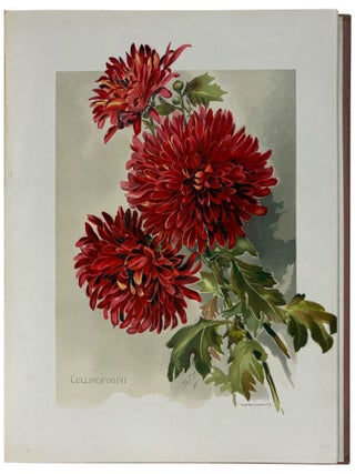 Item #42250 The Golden Flower. Chrysanthemum. Verses by Edith M. Thomas, Richard Henry Stoddard,...