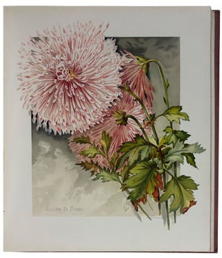 The Golden Flower. Chrysanthemum. Verses by Edith M. Thomas, Richard Henry Stoddard, Alice Ward Bailey, Celia Thaxter, Kate Upson Clark, Louis Carroll, Margaret Deland, Robert Browning, & Oliver Wendell Holmes. Collected, arranged and embellished with original designs by F. Schuyler Mathews