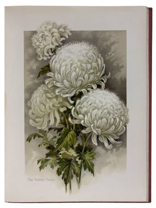 The Golden Flower. Chrysanthemum. Verses by Edith M. Thomas, Richard Henry Stoddard, Alice Ward Bailey, Celia Thaxter, Kate Upson Clark, Louis Carroll, Margaret Deland, Robert Browning, & Oliver Wendell Holmes. Collected, arranged and embellished with original designs by F. Schuyler Mathews