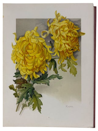 The Golden Flower. Chrysanthemum. Verses by Edith M. Thomas, Richard Henry Stoddard, Alice Ward Bailey, Celia Thaxter, Kate Upson Clark, Louis Carroll, Margaret Deland, Robert Browning, & Oliver Wendell Holmes. Collected, arranged and embellished with original designs by F. Schuyler Mathews