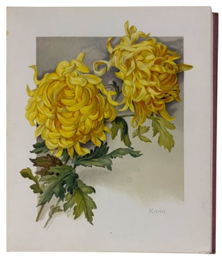 The Golden Flower. Chrysanthemum. Verses by Edith M. Thomas, Richard Henry Stoddard, Alice Ward Bailey, Celia Thaxter, Kate Upson Clark, Louis Carroll, Margaret Deland, Robert Browning, & Oliver Wendell Holmes. Collected, arranged and embellished with original designs by F. Schuyler Mathews