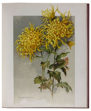 The Golden Flower. Chrysanthemum. Verses by Edith M. Thomas, Richard Henry Stoddard, Alice Ward Bailey, Celia Thaxter, Kate Upson Clark, Louis Carroll, Margaret Deland, Robert Browning, & Oliver Wendell Holmes. Collected, arranged and embellished with original designs by F. Schuyler Mathews