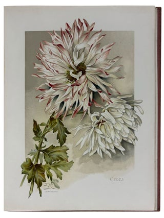 The Golden Flower. Chrysanthemum. Verses by Edith M. Thomas, Richard Henry Stoddard, Alice Ward Bailey, Celia Thaxter, Kate Upson Clark, Louis Carroll, Margaret Deland, Robert Browning, & Oliver Wendell Holmes. Collected, arranged and embellished with original designs by F. Schuyler Mathews