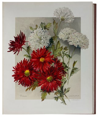 The Golden Flower. Chrysanthemum. Verses by Edith M. Thomas, Richard Henry Stoddard, Alice Ward Bailey, Celia Thaxter, Kate Upson Clark, Louis Carroll, Margaret Deland, Robert Browning, & Oliver Wendell Holmes. Collected, arranged and embellished with original designs by F. Schuyler Mathews