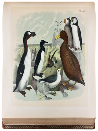 The Birds of North America