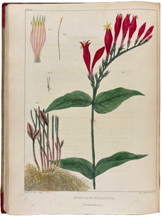 Item #42373 Vegetable Materia Medica of the United States; or Medical Botany: containing a...