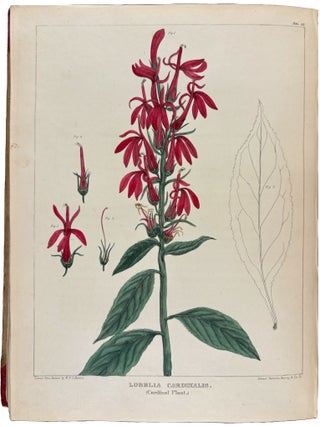 Vegetable Materia Medica of the United States; or Medical Botany: containing a botanical, general, and medical history, of medicinal plants indigenous to the United States