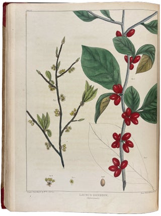 Vegetable Materia Medica of the United States; or Medical Botany: containing a botanical, general, and medical history, of medicinal plants indigenous to the United States