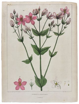 Vegetable Materia Medica of the United States; or Medical Botany: containing a botanical, general, and medical history, of medicinal plants indigenous to the United States