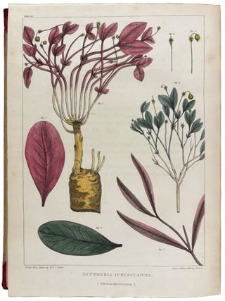 Vegetable Materia Medica of the United States; or Medical Botany: containing a botanical, general, and medical history, of medicinal plants indigenous to the United States