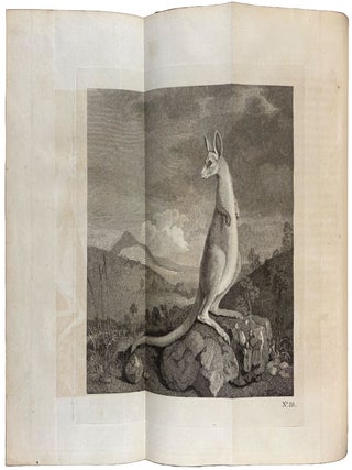 An Account of the Voyages undertaken by the order of His Present Majesty for making discoveries in the Southern Hemisphere, and successively performed by Commodore Byron, Captain Wallis, Captain Carteret, and Captain Cook, in the Dolphin, the Swallow, and the Endeavour; Drawn up from the journals which were kept by the several commanders, and from the papers of Joseph Banks