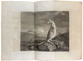 An Account of the Voyages undertaken by the order of His Present Majesty for making discoveries in the Southern Hemisphere, and successively performed by Commodore Byron, Captain Wallis, Captain Carteret, and Captain Cook, in the Dolphin, the Swallow, and the Endeavour; Drawn up from the journals which were kept by the several commanders, and from the papers of Joseph Banks